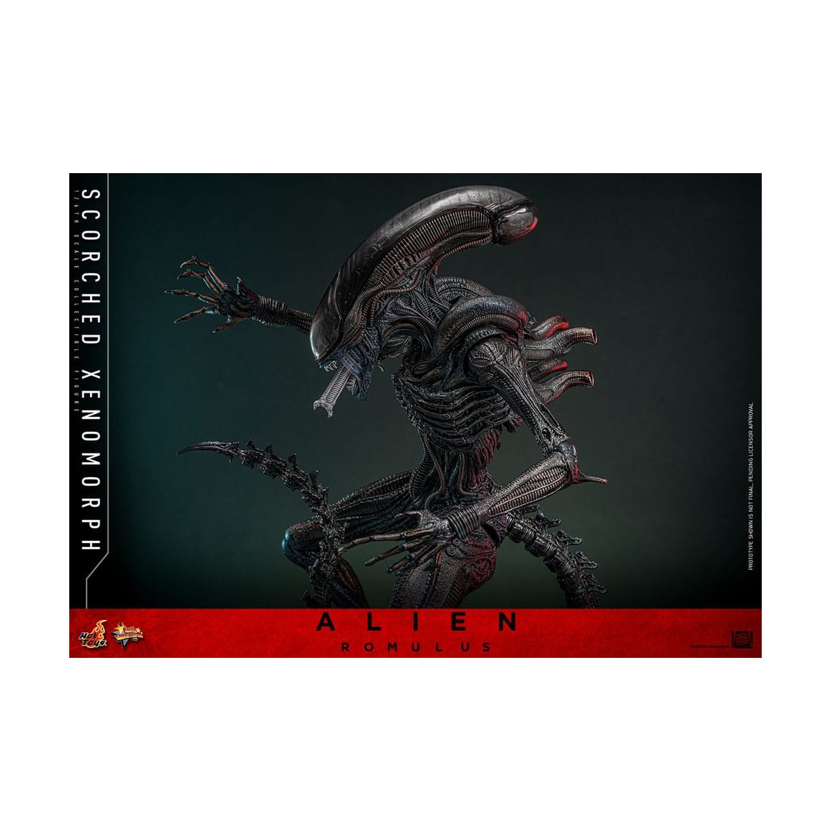 Hot Toys - Alien Romulus - Xenomorfo bruciato MMS 1/6
