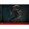 Hot Toys - Alien Romulus - Xenomorfo bruciato MMS 1/6