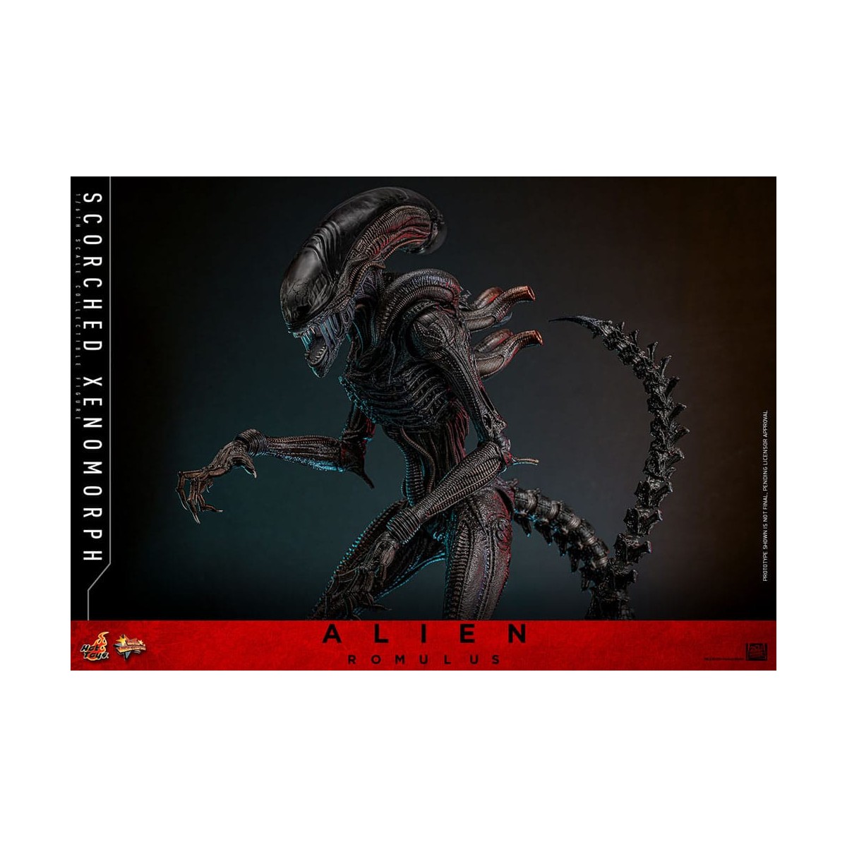 Hot Toys - Alien Romulus - Xenomorfo bruciato MMS 1/6