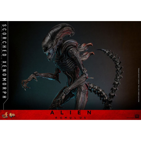 Hot Toys - Alien Romulus - Xenomorfo bruciato MMS 1/6