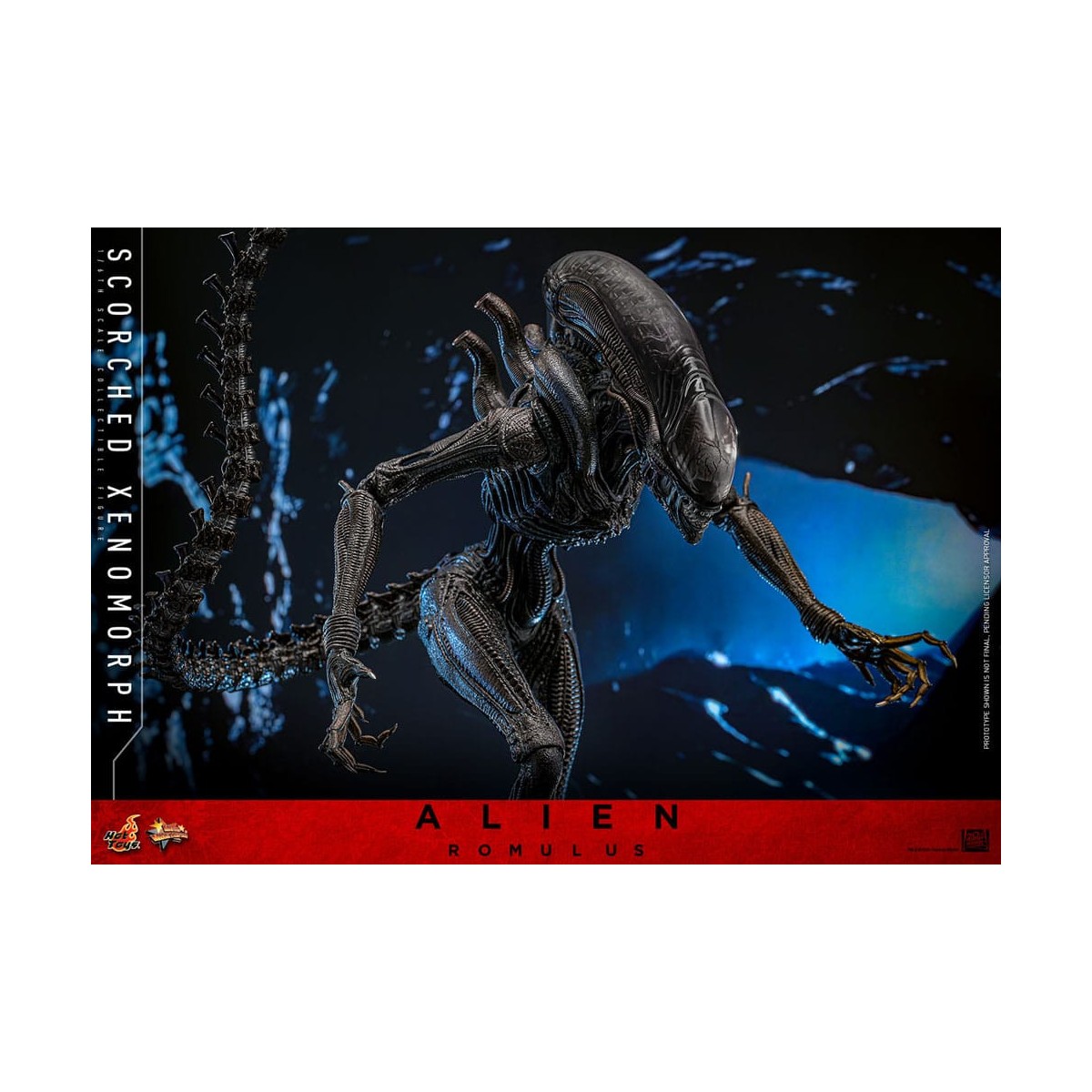 Hot Toys - Alien Romulus - Xenomorfo bruciato MMS 1/6