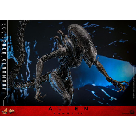 Hot Toys - Alien Romulus - Xenomorfo bruciato MMS 1/6