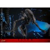 Hot Toys - Alien Romulus - Xenomorfo bruciato MMS 1/6