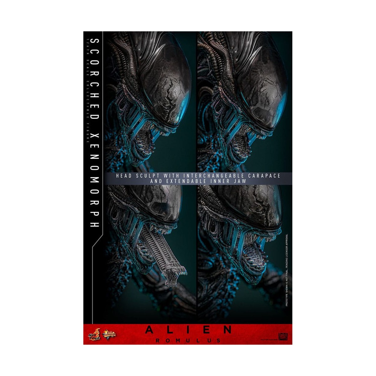 Hot Toys - Alien Romulus - Xenomorfo bruciato MMS 1/6