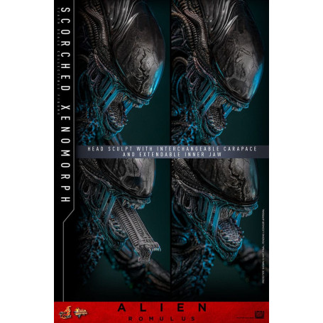 Hot Toys - Alien Romulus - Xenomorfo bruciato MMS 1/6