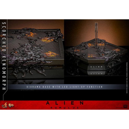 Hot Toys - Alien Romulus - Xenomorfo bruciato MMS 1/6