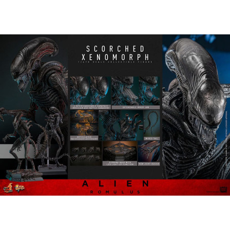 Hot Toys - Alien Romulus - Xenomorfo bruciato MMS 1/6