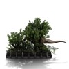 Studi di ferro - Jurassic Park Demi Art Scale La scena finale - 1/20