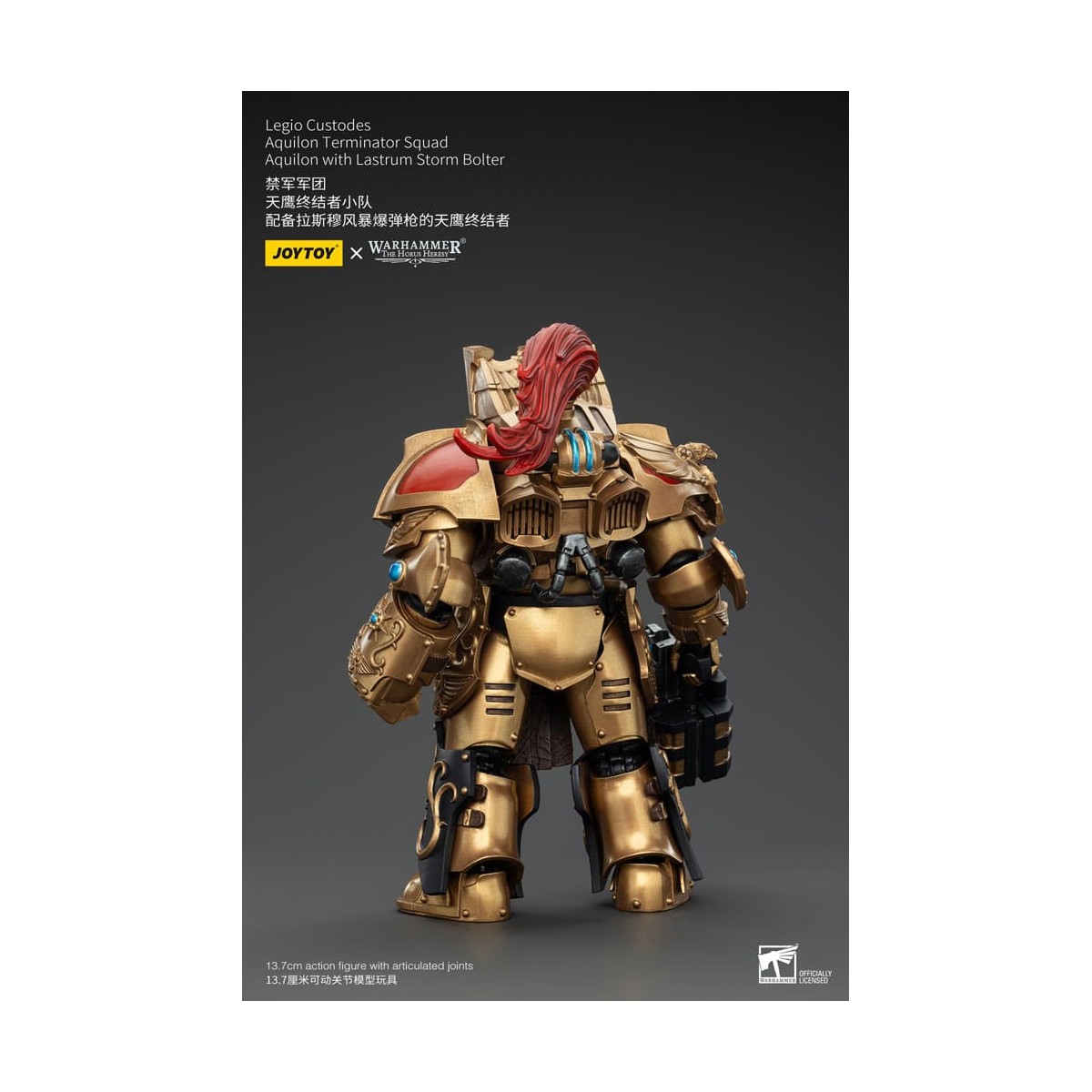 JoyToy Space Marines - Legio Custodes Aquilon Squadra Terminator - Aquilon con Lastrum Storm