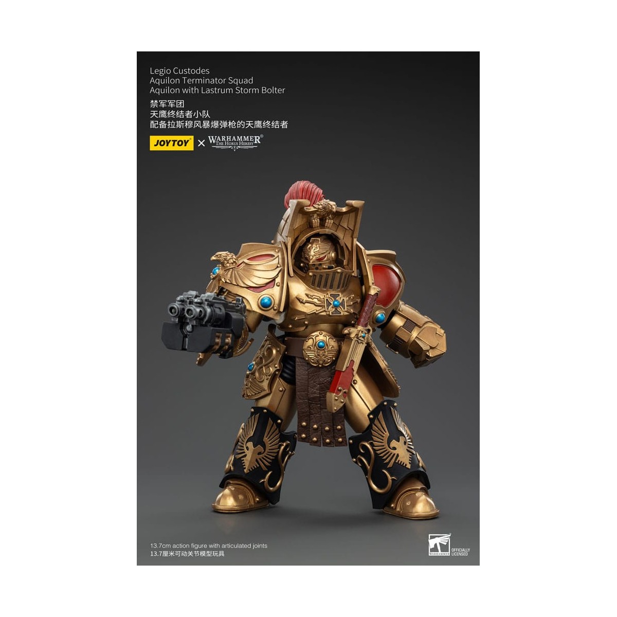JoyToy Space Marines - Legio Custodes Aquilon Squadra Terminator - Aquilon con Lastrum Storm