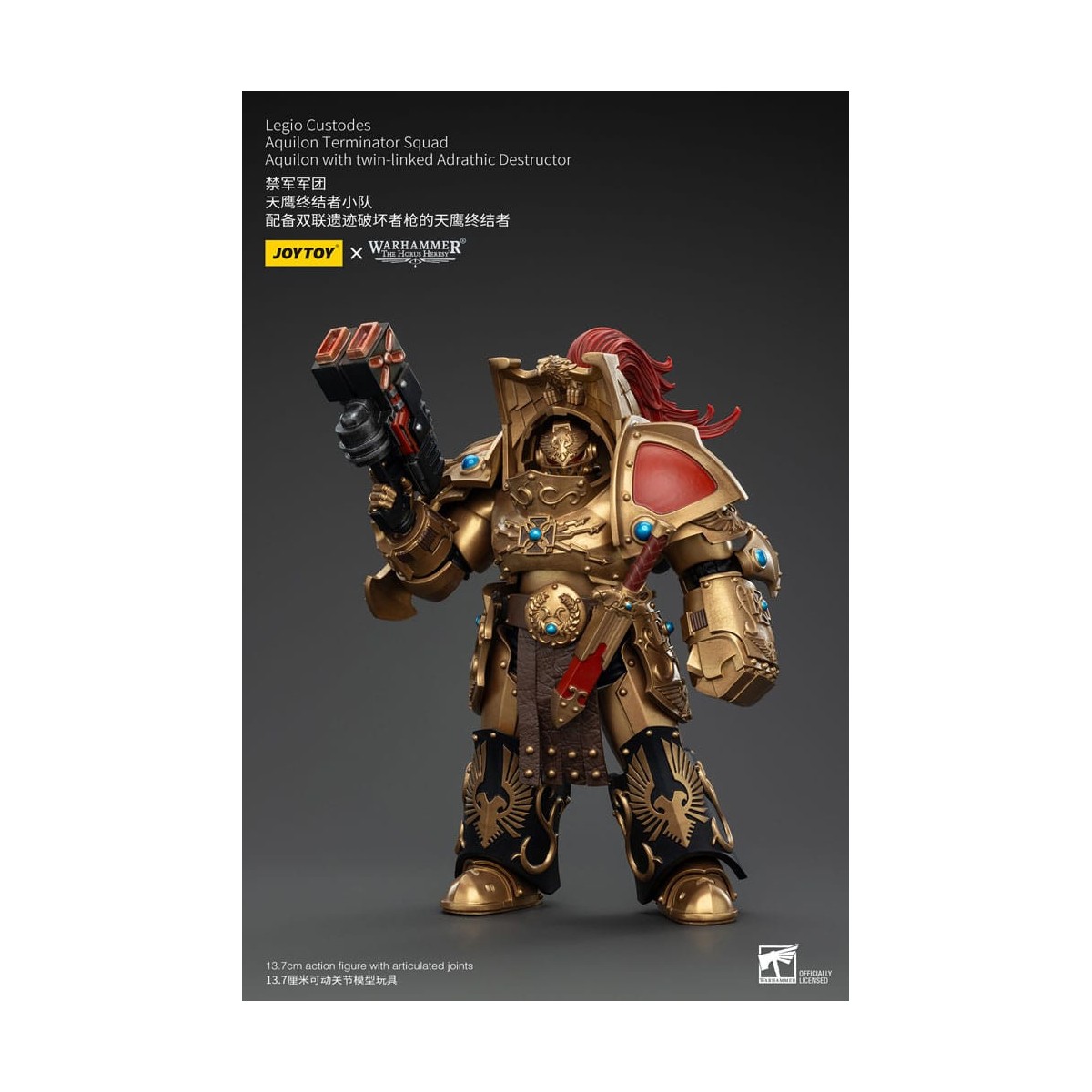 JoyToy Space Marines - Legio Custodes Aquilon Terminator Squad - Aquilon con Adrathic Destructor collegato a doppio filo