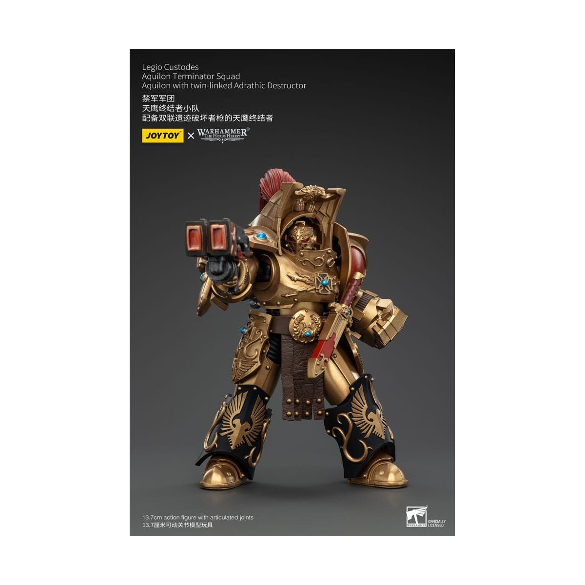 JoyToy Space Marines - Legio Custodes Aquilon Terminator Squad - Aquilon con Adrathic Destructor collegato a doppio filo