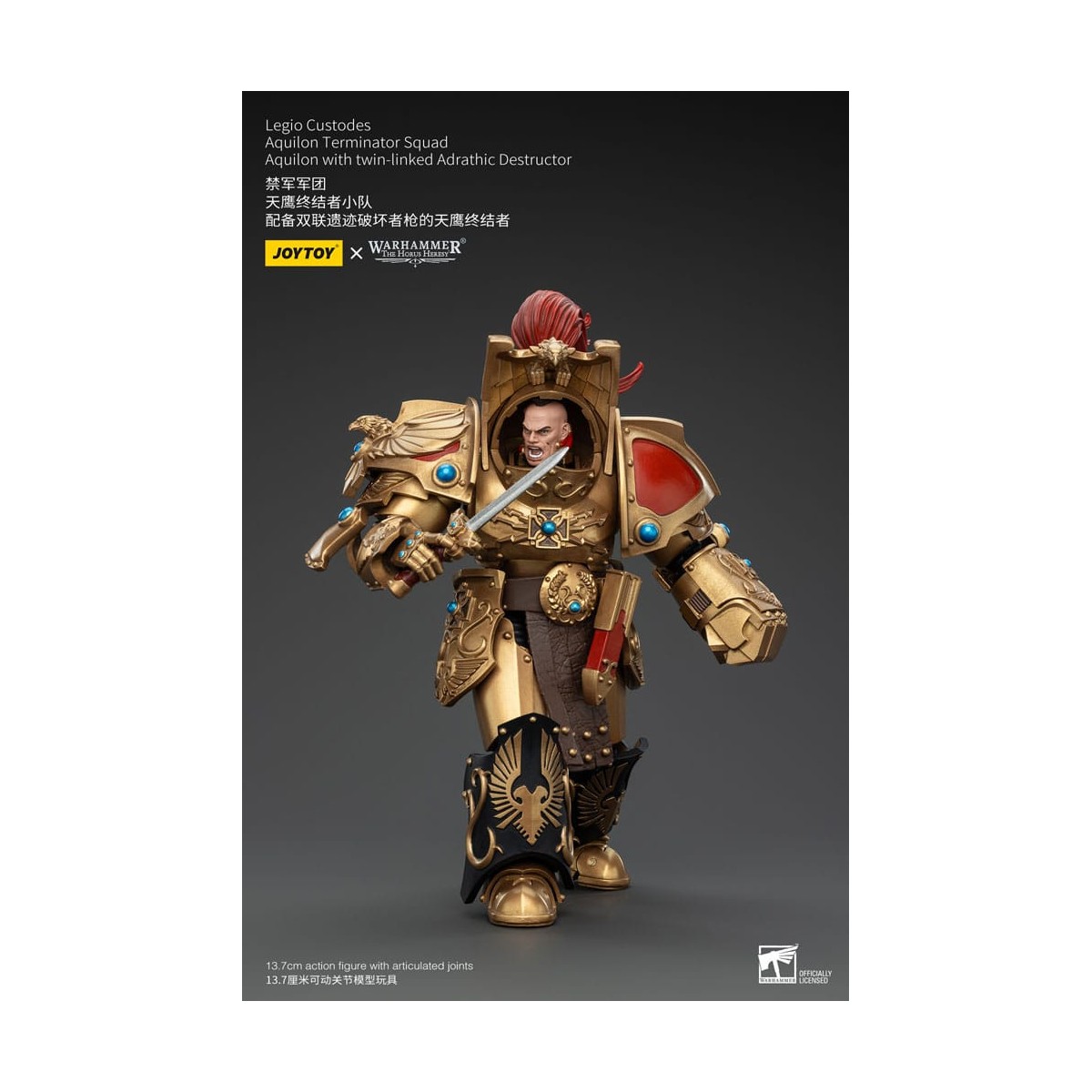 JoyToy Space Marines - Legio Custodes Aquilon Terminator Squad - Aquilon con Adrathic Destructor collegato a doppio filo