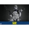 Hot Toys Star Wars - 104° Battaglione Wolfpack Clone Trooper Versione Deluxe - The Clone Wars 1/6