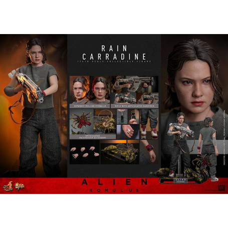 Hot Toys - Alien Romulus - Rain Carradine MMS 1/6