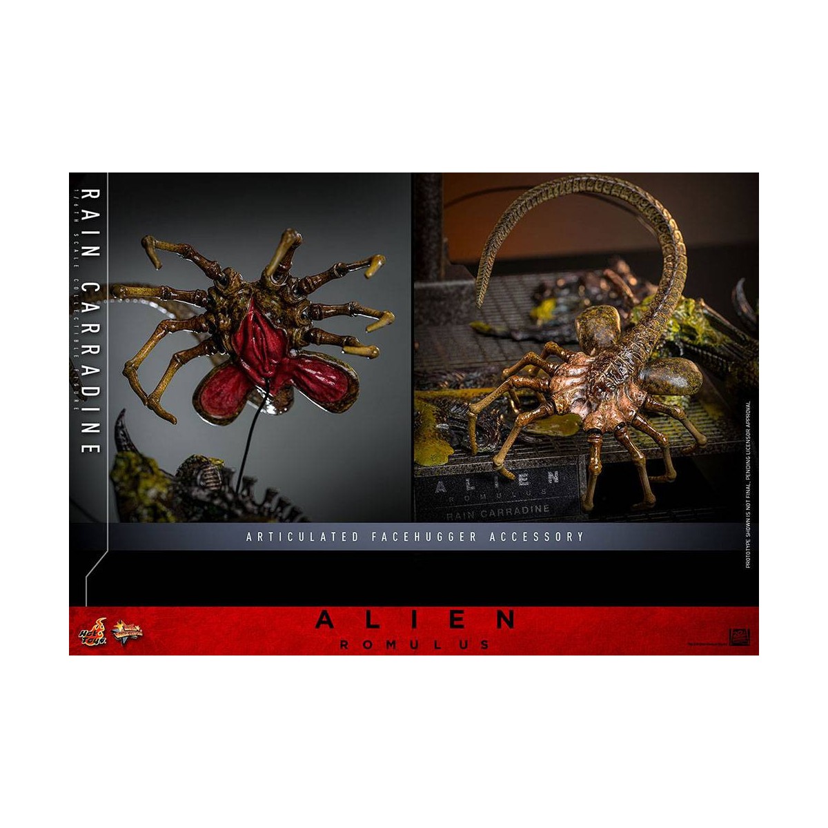 Hot Toys - Alien Romulus - Rain Carradine MMS 1/6