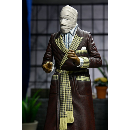 NECA - Ultimate The Invisible Man Kemp House (colore) - Mostri universali