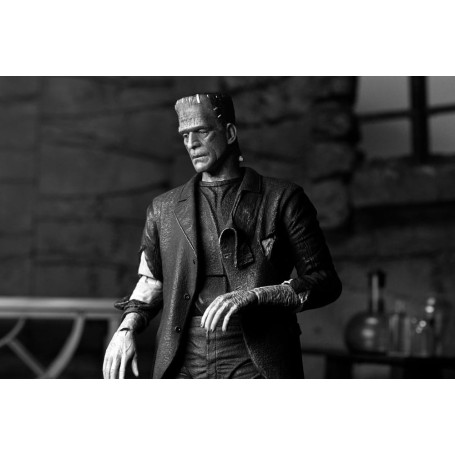 NECA - Mostro di Frankenstein definitivo (La sposa di Frankenstein) Versione in bianco e nero - Mostri universali