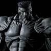 Bandai Tamashii - Giovane Toguro 100% - Yu Yu Hakusho - SHF SHFiguarts