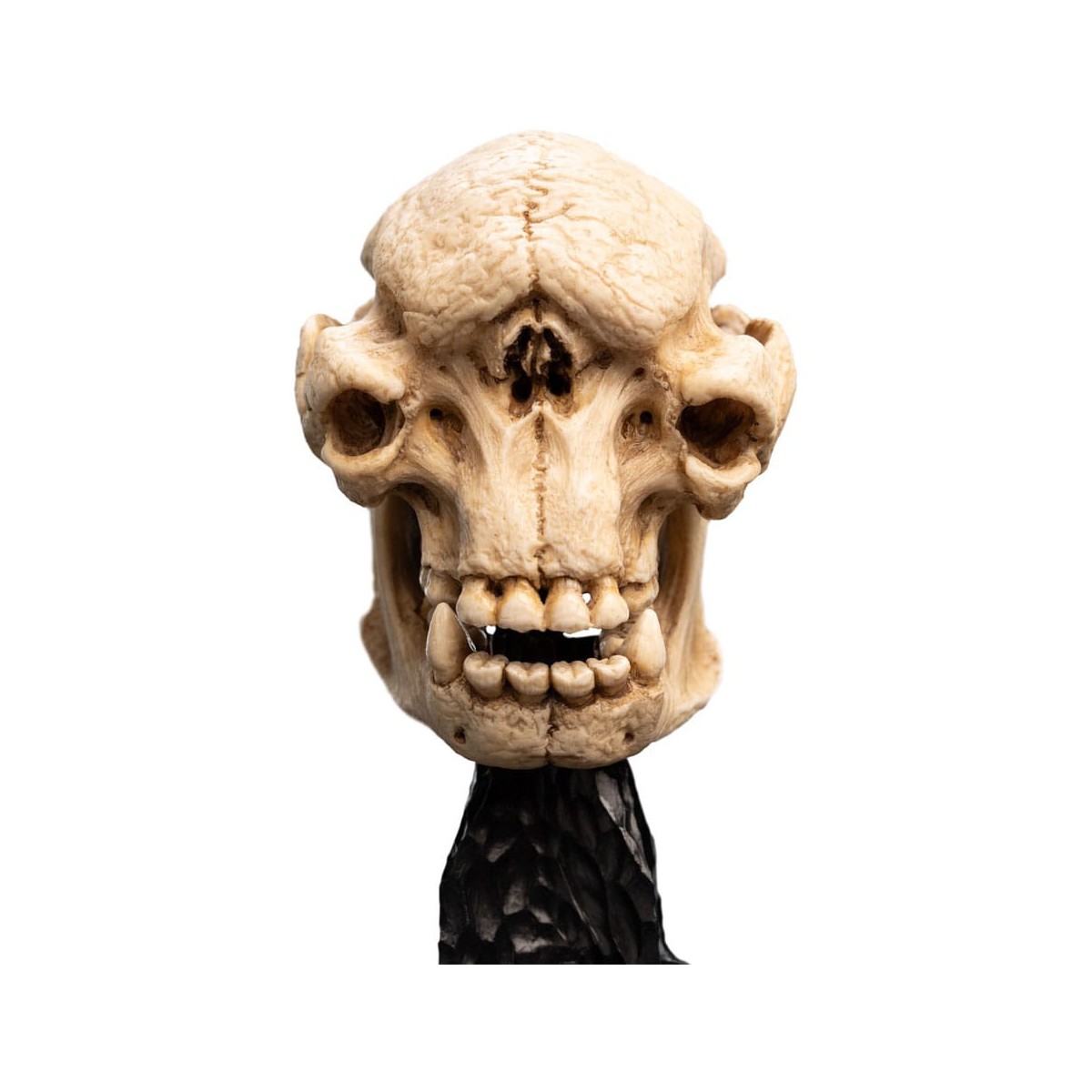 Weta - Il Signore degli Anelli - Teschio di un Troll delle Caverne - LOTR