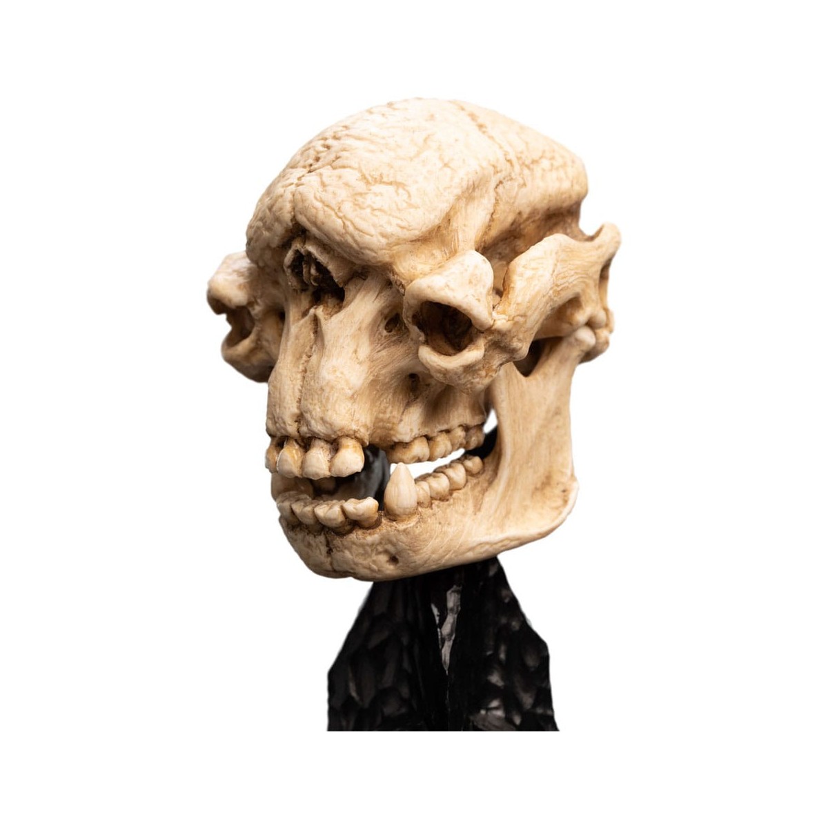 Weta - Il Signore degli Anelli - Teschio di un Troll delle Caverne - LOTR