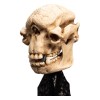 Weta - Il Signore degli Anelli - Teschio di un Troll delle Caverne - LOTR