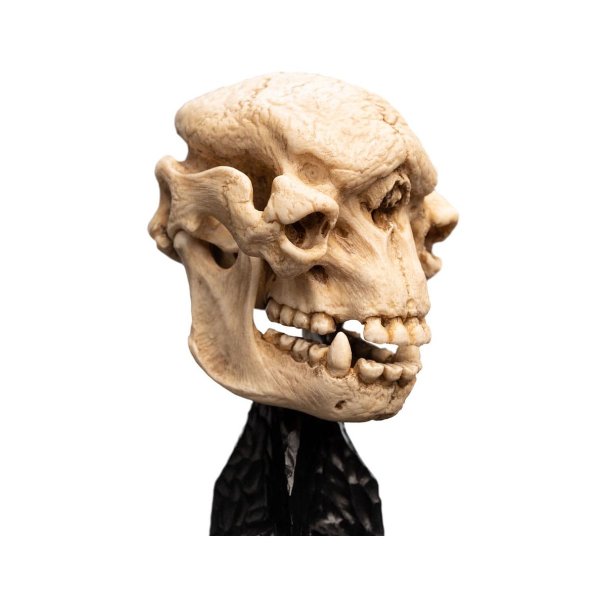 Weta - Il Signore degli Anelli - Teschio di un Troll delle Caverne - LOTR