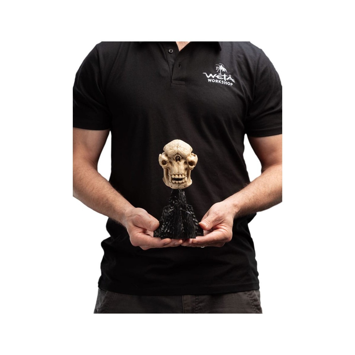 Weta - Il Signore degli Anelli - Teschio di un Troll delle Caverne - LOTR