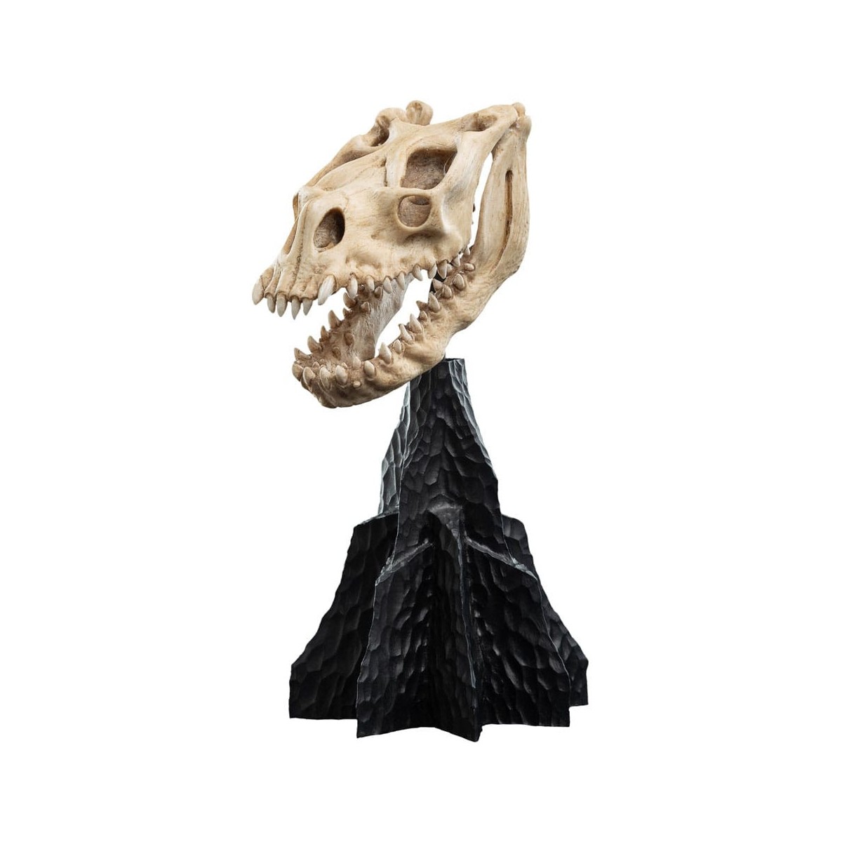 Weta - Il Signore degli Anelli - Cranio di una bestia abbattuta - LOTR