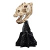 Weta - Il Signore degli Anelli - Cranio di una bestia abbattuta - LOTR
