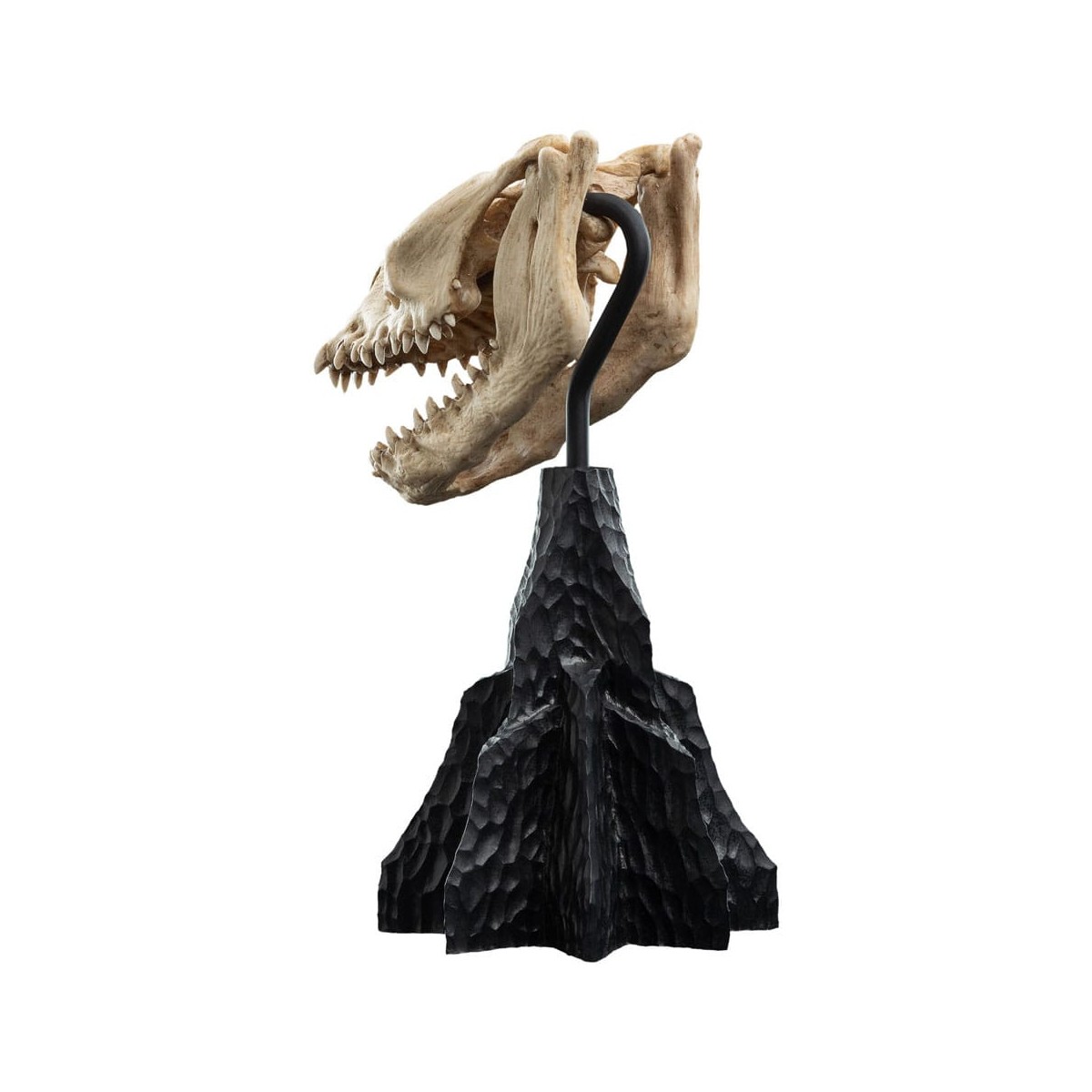 Weta - Il Signore degli Anelli - Cranio di una bestia abbattuta - LOTR