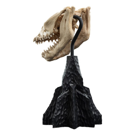 Weta - Il Signore degli Anelli - Cranio di una bestia abbattuta - LOTR