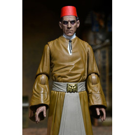 NECA - Ultimate Ardath Bey La Mummia Versione a colori - Mostri Universal