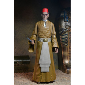 NECA - Ultimate Ardath Bey La Mummia Versione a colori - Mostri Universal