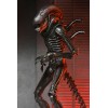 Neca - Alien: Romulus Ultimate Xenomorph XX121