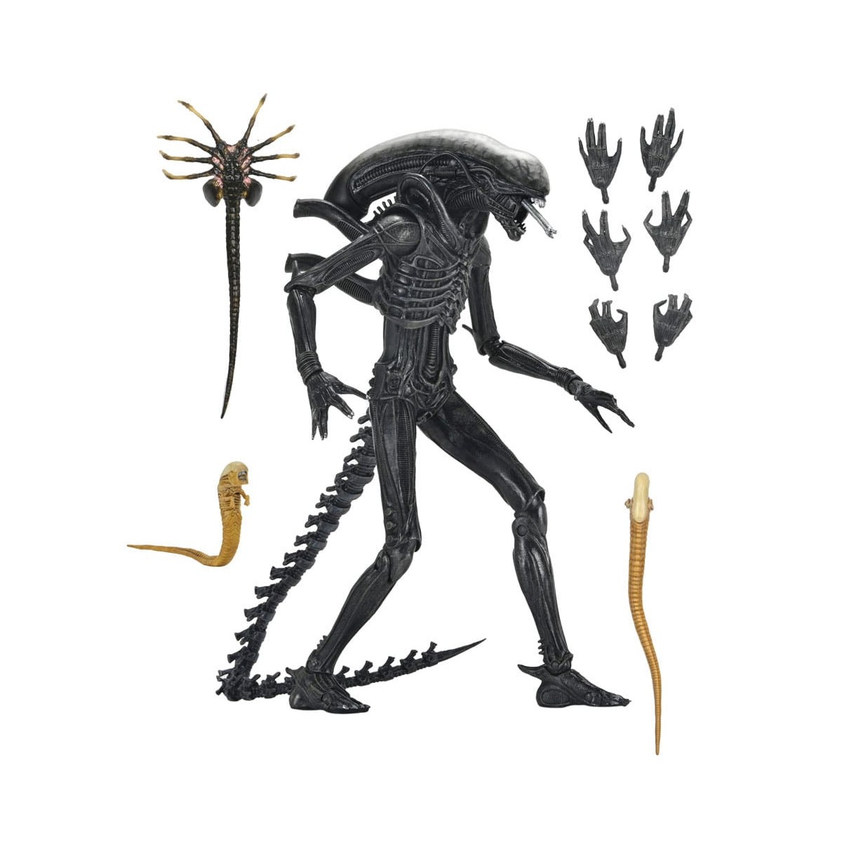 Neca - Alien: Romulus Ultimate Xenomorph XX121