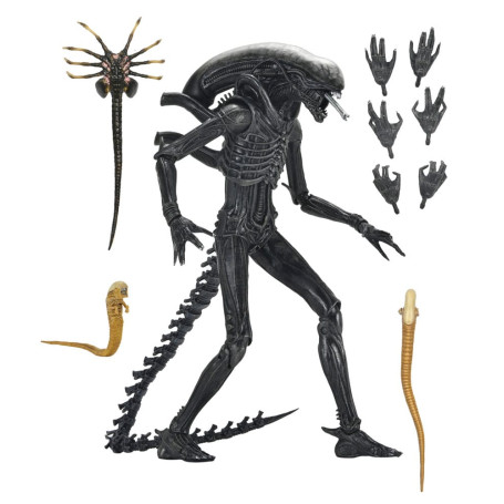 Neca - Alien: Romulus Ultimate Xenomorph XX121