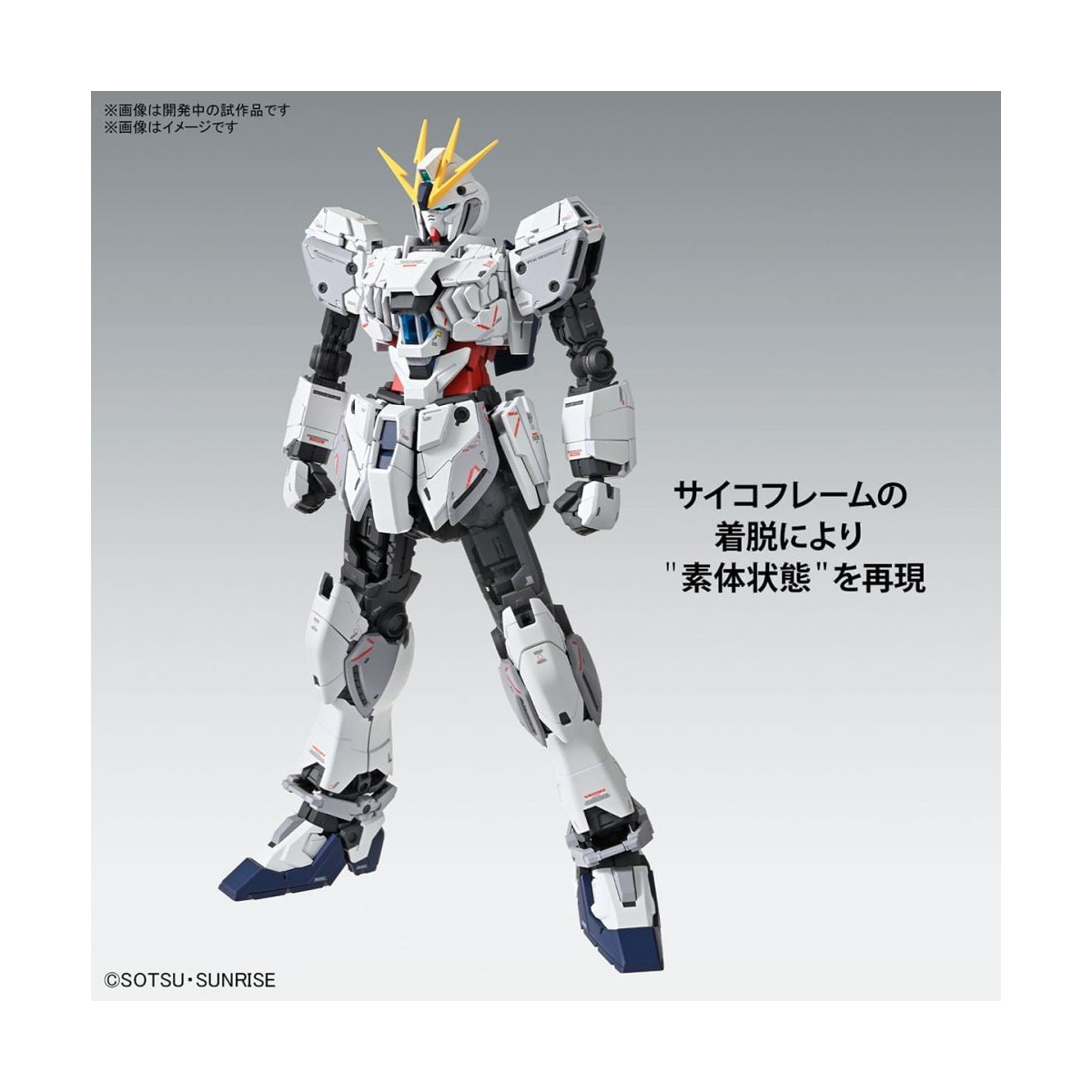 Bandai - Gunpla - 1/100 MG - RX-9/C NARRATIVA GUNDAM C-PACKS VER. KA - Operazione Caccia alla Fenice
