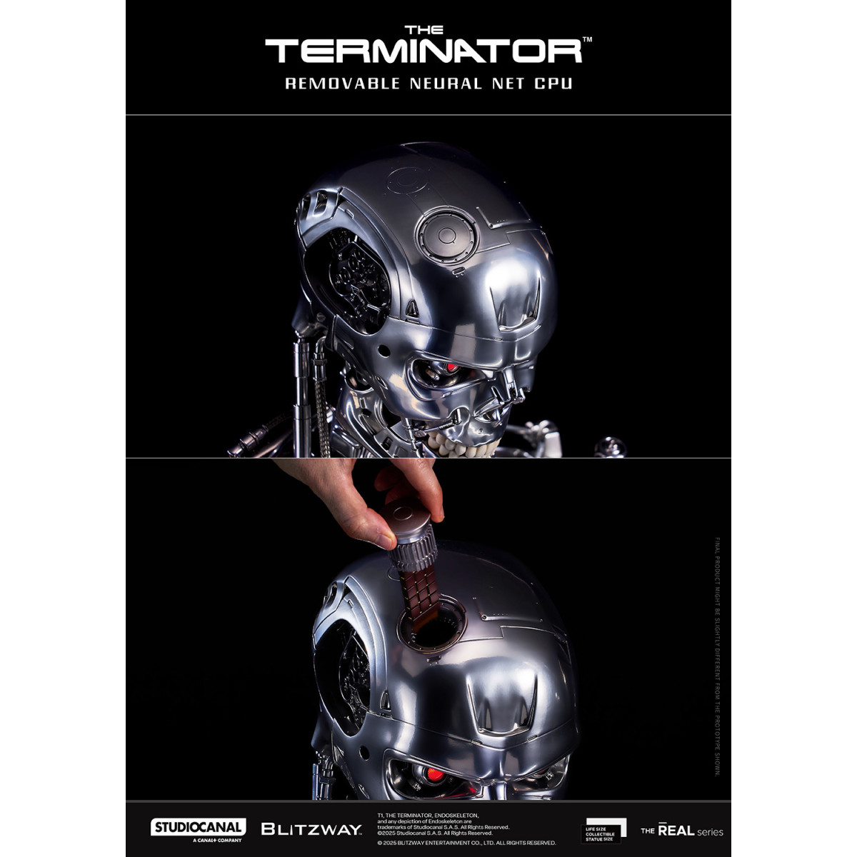 Blitzway - Cranio endoscheletrico T800 1/1 a grandezza naturale - Il Terminator