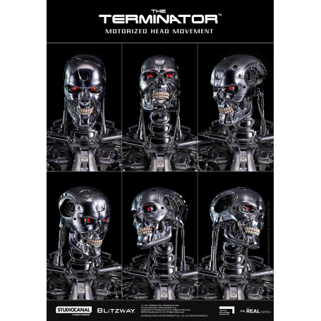Blitzway - Cranio endoscheletrico T800 1/1 a grandezza naturale - Il Terminator