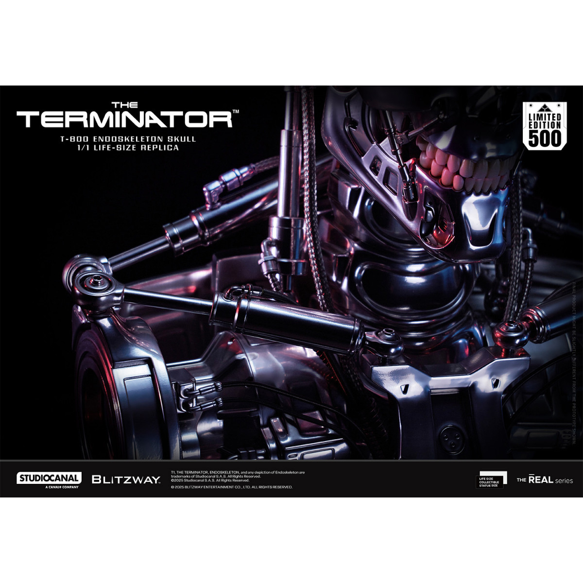 Blitzway - Cranio endoscheletrico T800 1/1 a grandezza naturale - Il Terminator