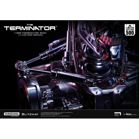 Blitzway - Cranio endoscheletrico T800 1/1 a grandezza naturale - Il Terminator