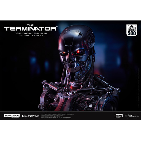 Blitzway - Cranio endoscheletrico T800 1/1 a grandezza naturale - Il Terminator