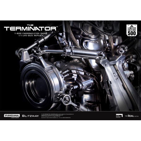 Blitzway - Cranio endoscheletrico T800 1/1 a grandezza naturale - Il Terminator