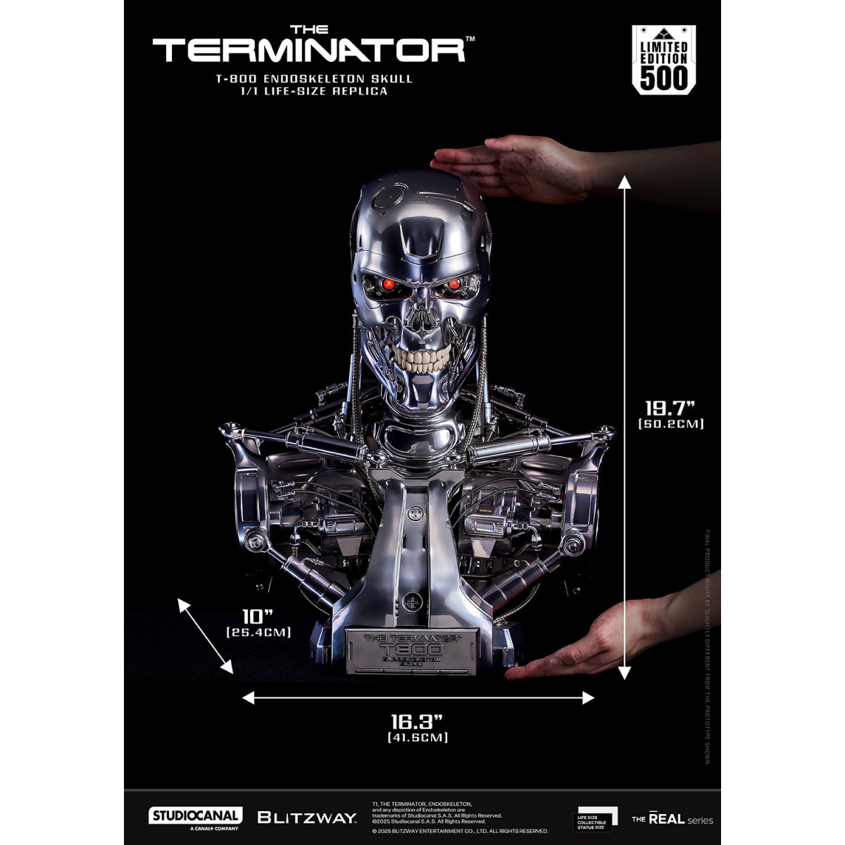 Blitzway - Cranio endoscheletrico T800 1/1 a grandezza naturale - Il Terminator