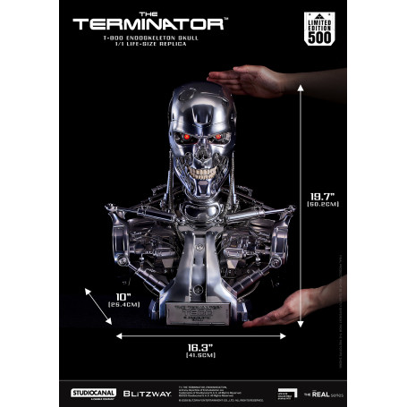Blitzway - Cranio endoscheletrico T800 1/1 a grandezza naturale - Il Terminator
