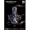 Blitzway - Cranio endoscheletrico T800 1/1 a grandezza naturale - Il Terminator