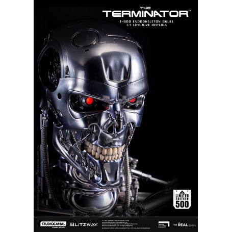 Blitzway - Cranio endoscheletrico T800 1/1 a grandezza naturale - Il Terminator