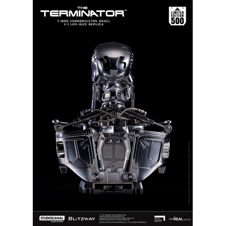 Blitzway - Cranio endoscheletrico T800 1/1 a grandezza naturale - Il Terminator