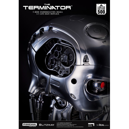Blitzway - Cranio endoscheletrico T800 1/1 a grandezza naturale - Il Terminator